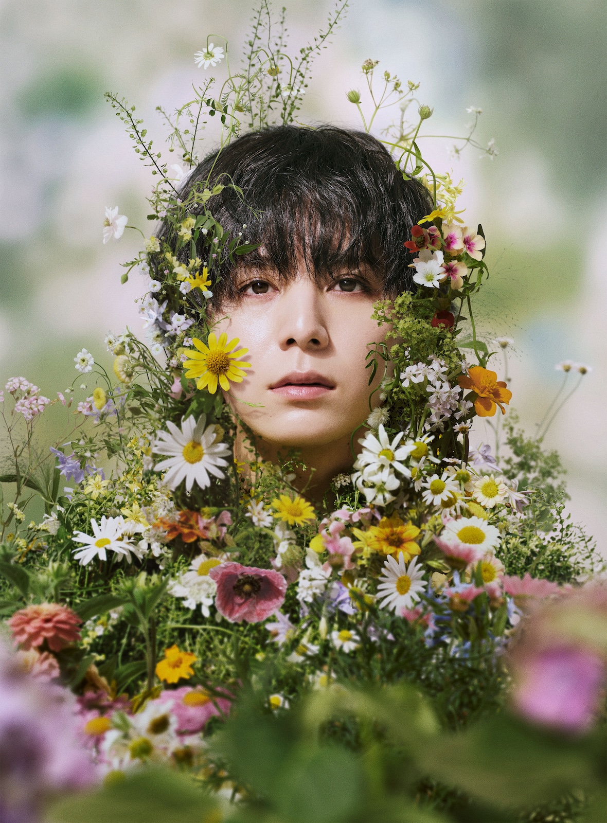 7月期新日曜ドラマ『一次元の挿し木』 ミステリー小説が山田涼介主演で