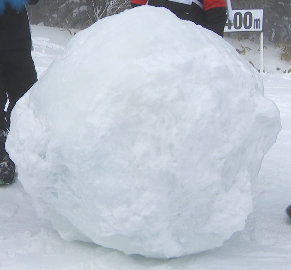 DASH』巨大雪玉作りに挑戦 推定250㎏に成長した雪玉が手を離れ暴走