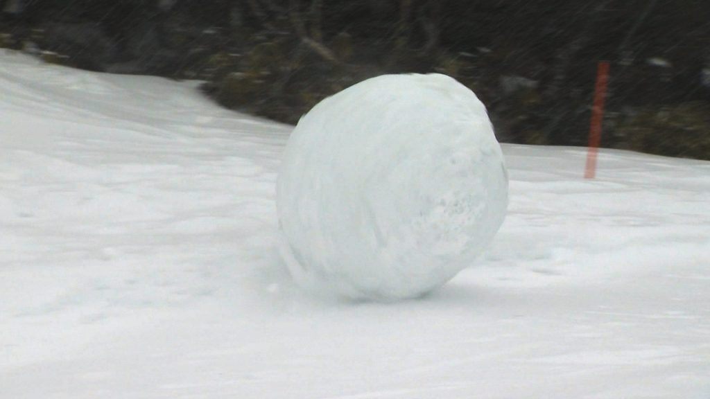 雪玉に地獄で勝算はあるか？ DASH』巨大雪玉作りに力士の大栄翔、翔猿、大奄美が参戦 驚異的な