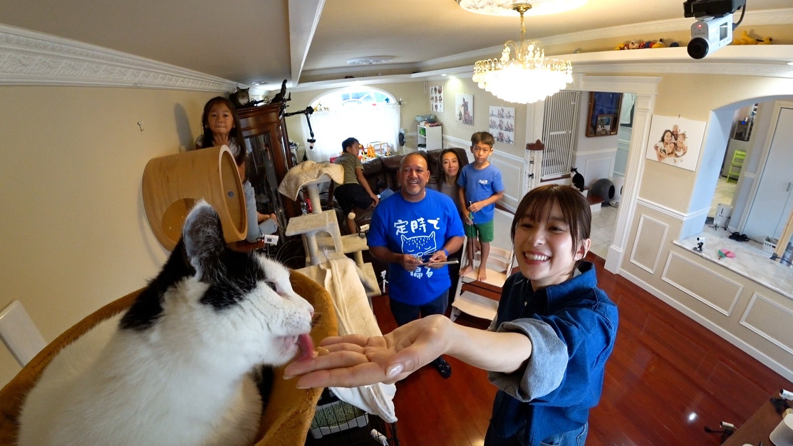 アレックス・ラミレス、芳根京子の写真