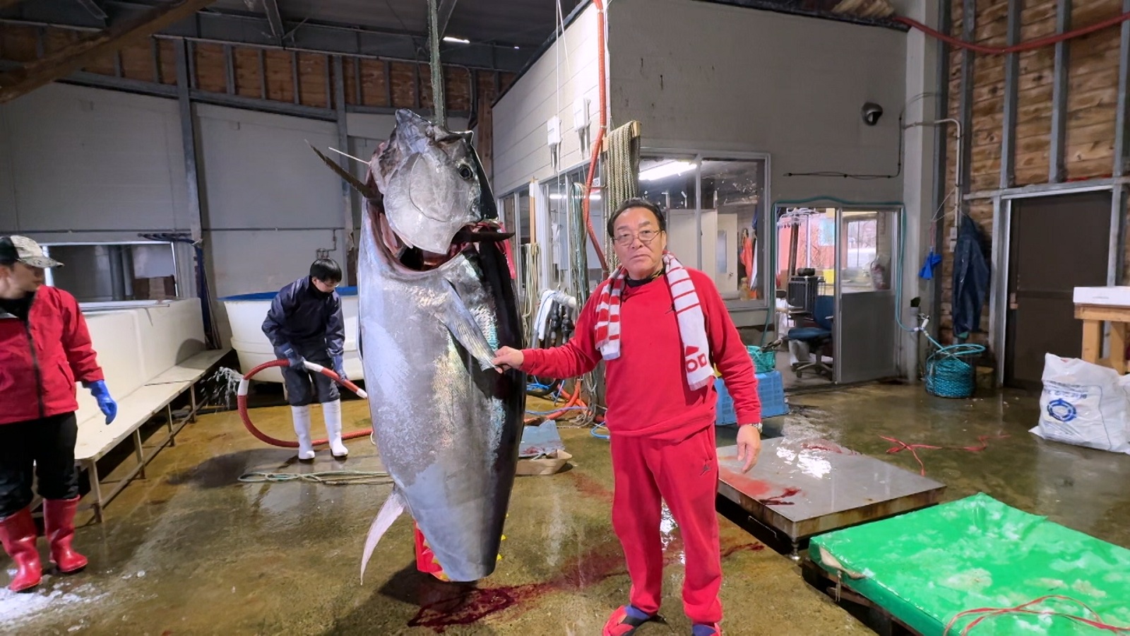 漁師たちの夢…今年の一番マグロを釣り上げるのは誰だ？一番マグロを8回