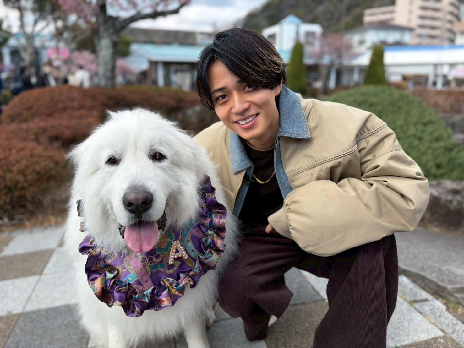 キンプリ永瀬廉が河津桜の咲く静岡県を巨大ワンちゃんと散策…静岡名産