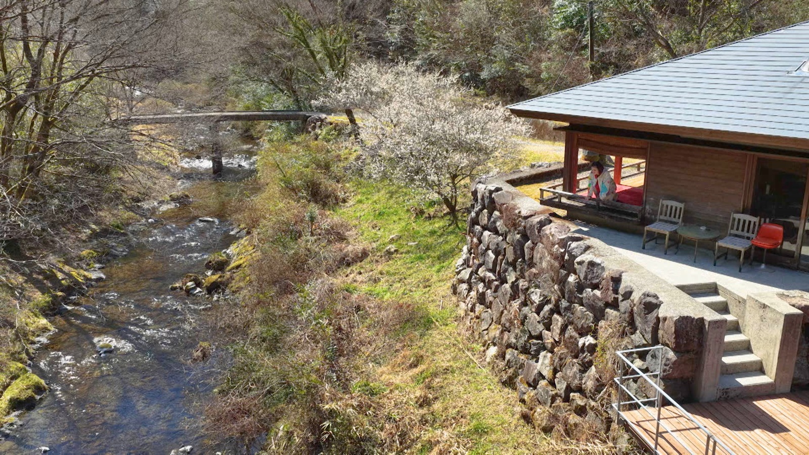 家の近くの川 井上咲楽「景色と一体の家ですね」目の前に四万十川が流れる家を大調査