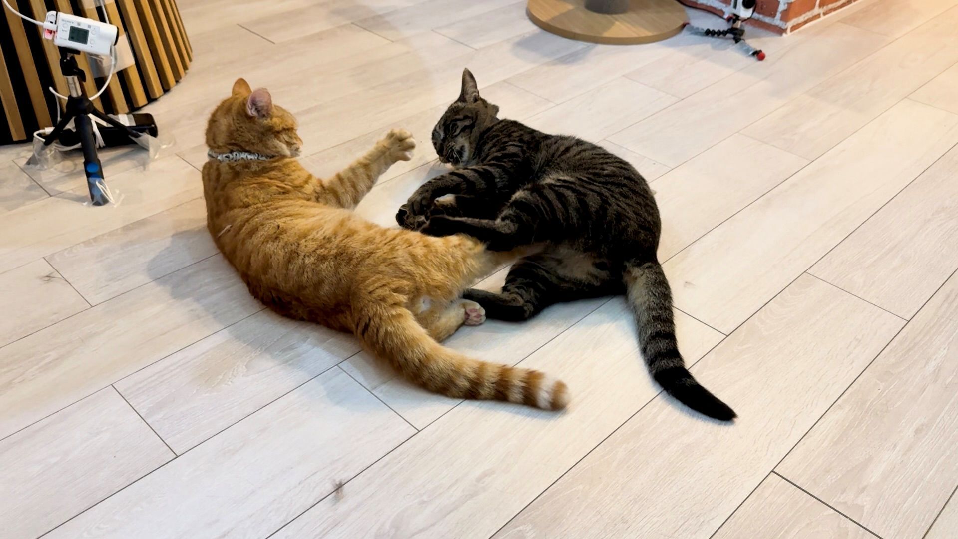まさるとリバーの写真