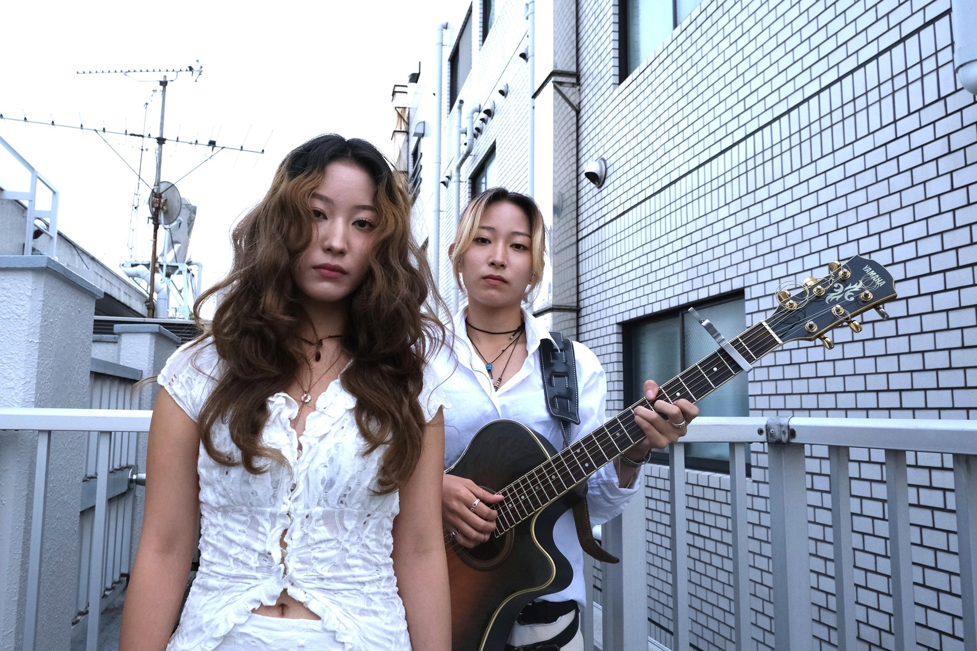 weak.butterflyの写真