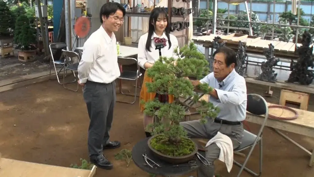 驚異の価格2億円“盆栽界の魔術師”が手がけた樹齢1000年超えの盆栽に