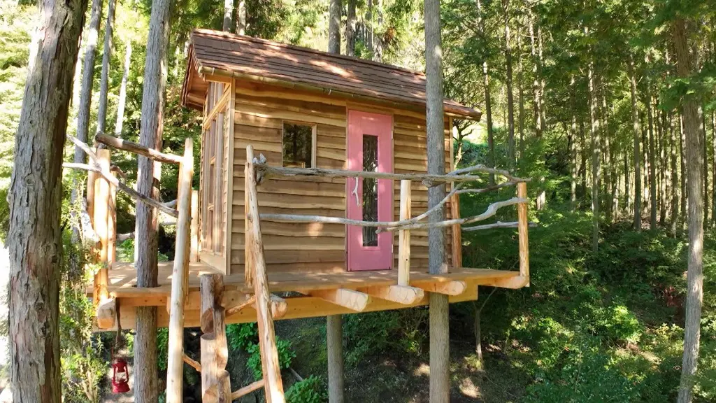 タケノコ王 半年かけた手作り“ツリーハウス”が完成 正面は全面