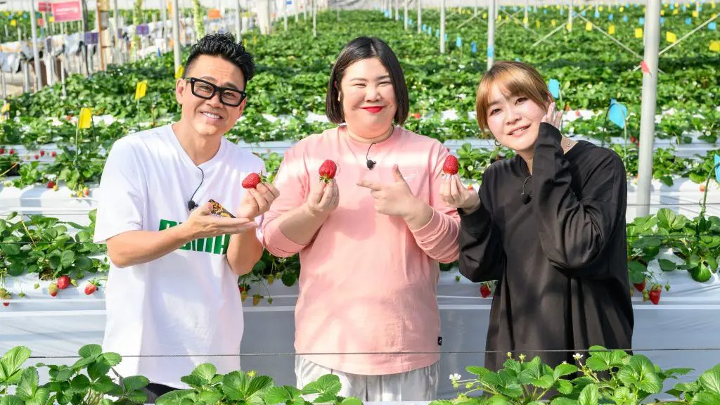 長野県軽井沢町の超希少な高級いちご『真紅の美鈴』1粒のお値段に