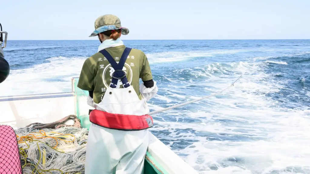 100g800円！茨城県産の究極の鮮度を誇る絶品『しらす』名人がこだわる