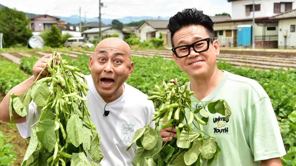 新潟直送計画】新潟県産 枝豆・茶豆 – JAえちご中越かしわざき