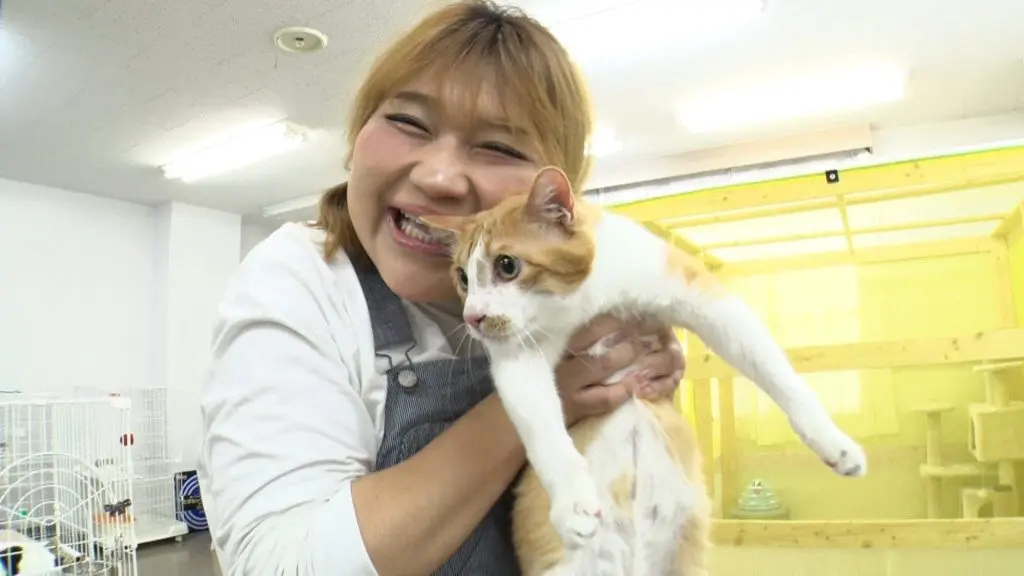りんごちゃんと預かり猫・フィービーがついにお別れ…2か月間を振り返り