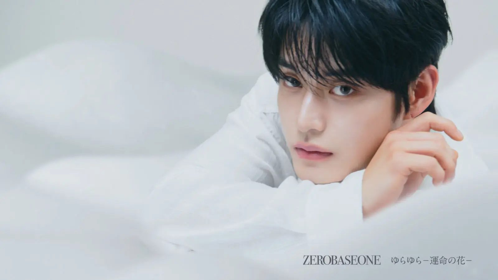 ZEROBASEONE キムジウン　45枚セット zb1 サノク トレカ ジウン ZEROBASEONE(ゼロベースワン・ZB1・ゼベワン