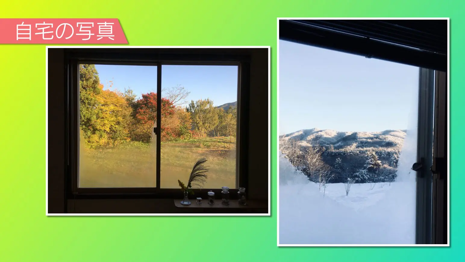 今年15周年の日食なつこ、『水流のロック』『開拓者』生披露！あい