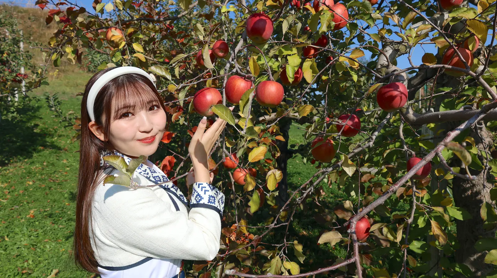 りんご娘がりんご畑で青森愛を語る！「私、金星の家もね、りんご農家を