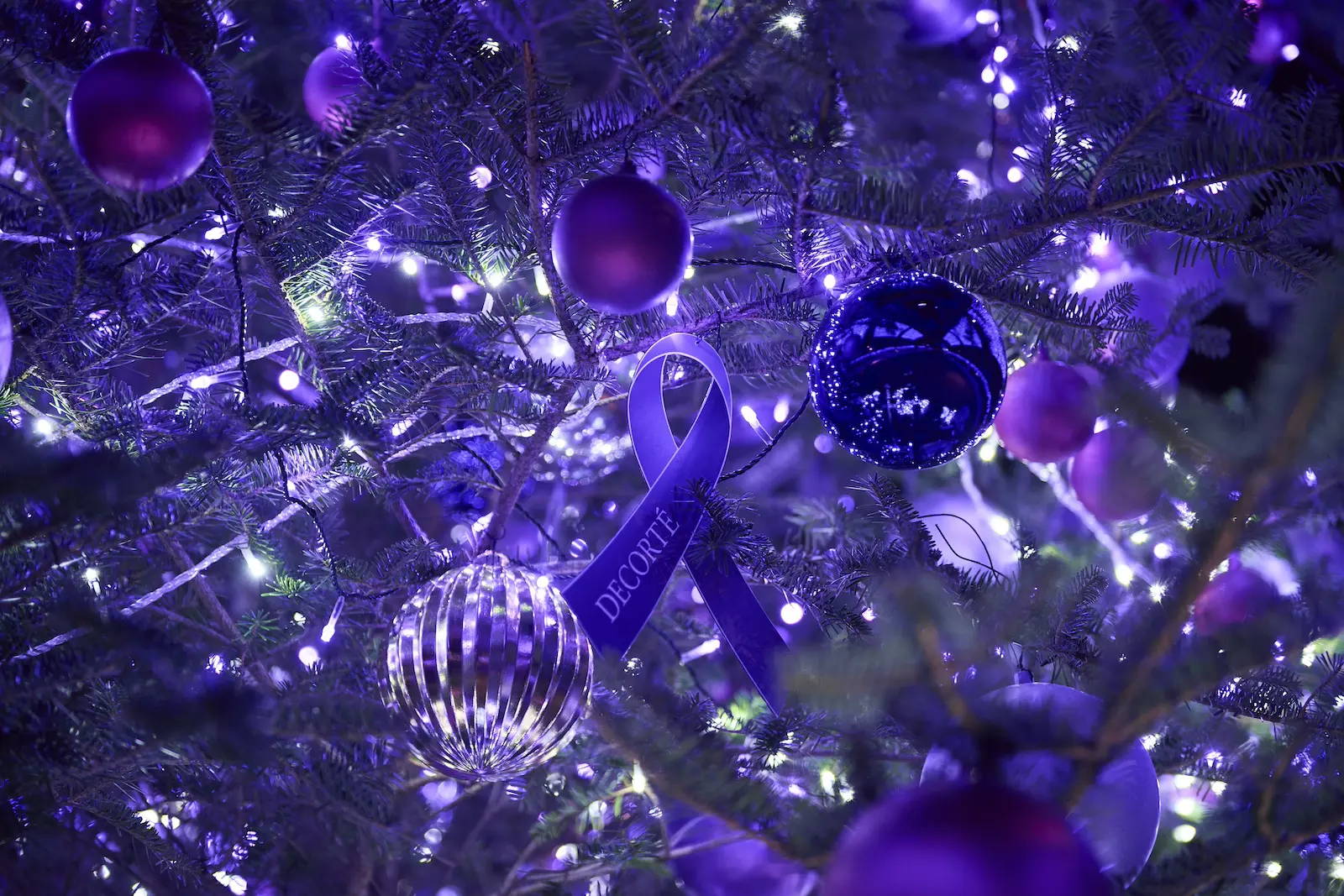 渋谷・宮下公園 クリスマスまでの期間限定イルミネーション開催 渋谷・宮下公園 クリスマスまでの期間限定イルミネーション開催