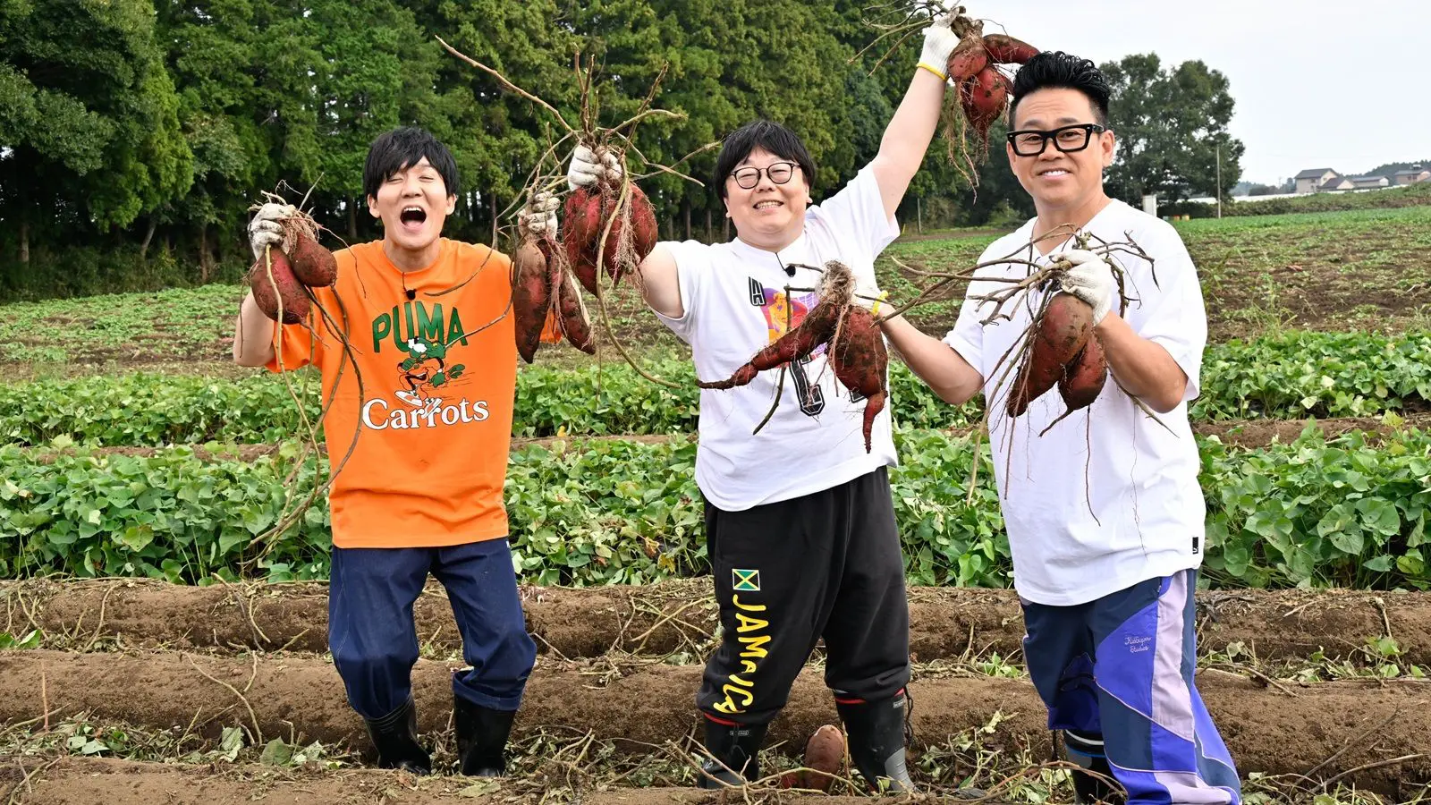 ☆芋☆ 極上の甘さを誇るサツマイモ『シルクスイート』その魅力をいかした絶品