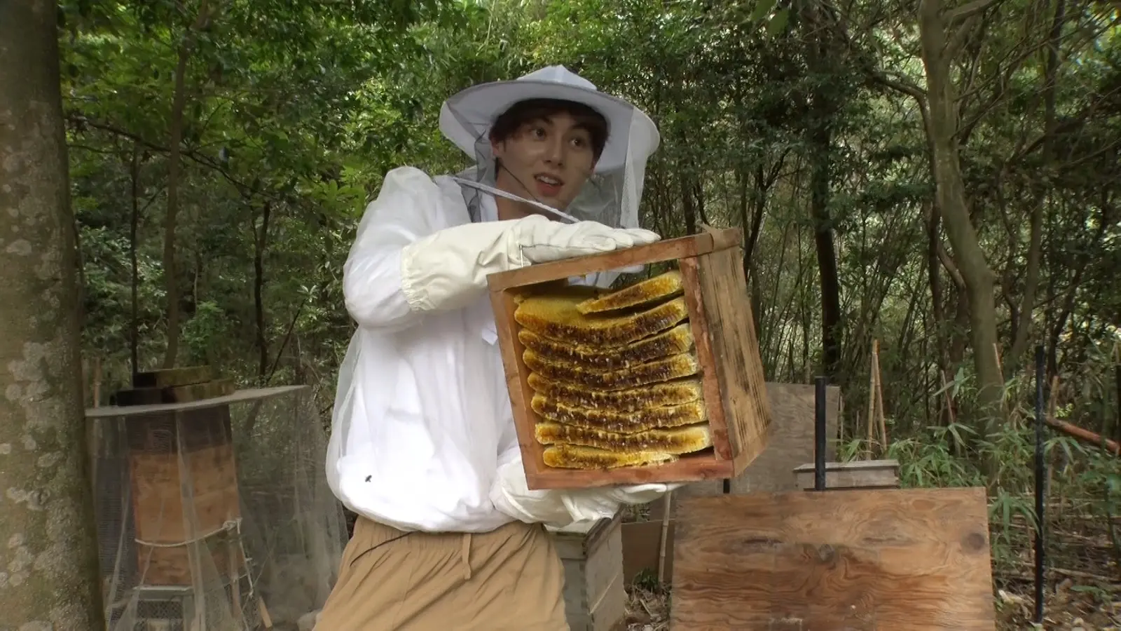 女子中学生がミツバチの養蜂に挑戦！貴重なハチミツ採取は成功するのか