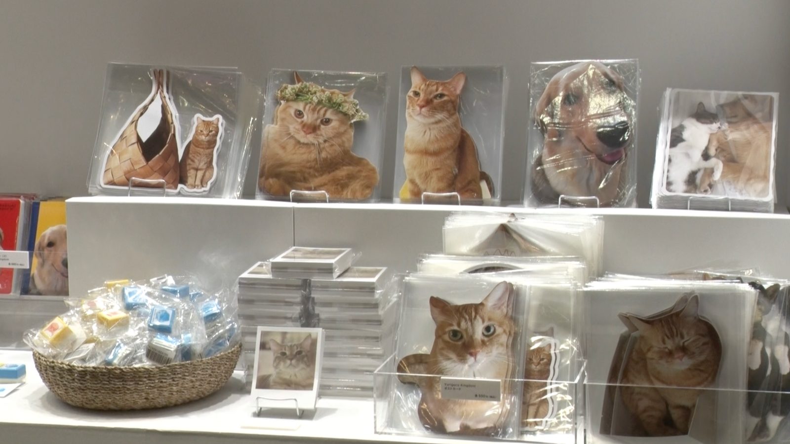 お待たせ! 生活のたのしみ展 石田ゆり子 ゆりごろう王国ステーショナリー 文房具・ステーショナリー
