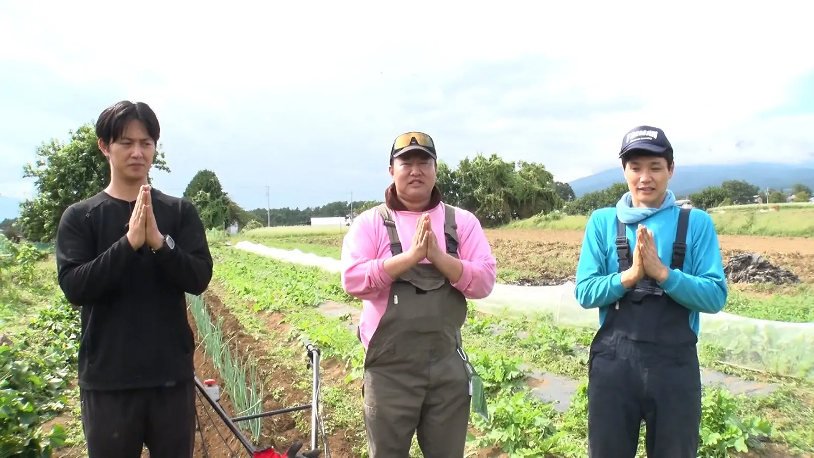 kudou 工藤阿須加 まだ市場に出ていない、プレミアムな新品種『きみまろこ』を初収穫“白いサツマイモ”のお味は?|entax(エンタックス)