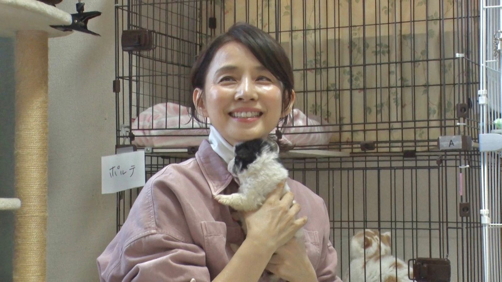 石田ゆり子の写真