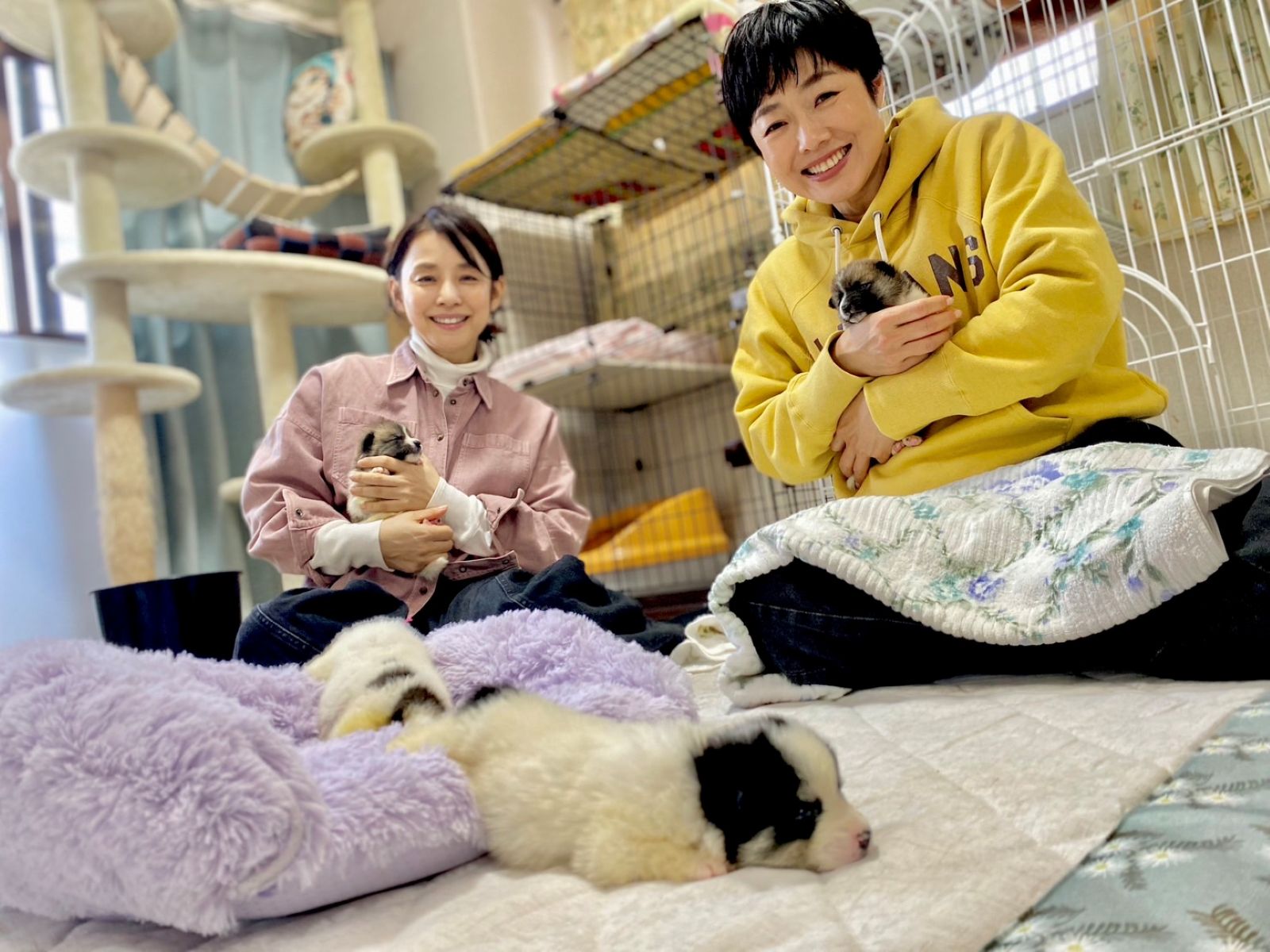 有働由美子、石田ゆり子の写真