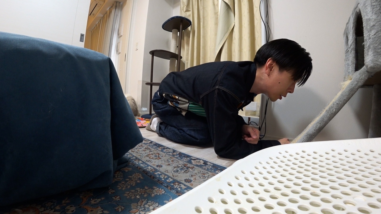 ハライチ・岩井勇気の写真