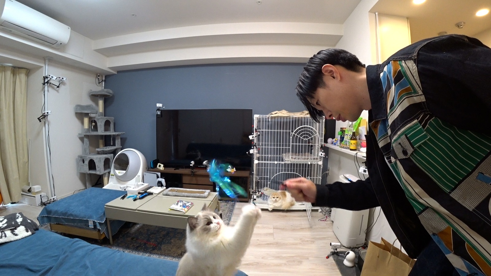 ハライチ・岩井勇気の写真