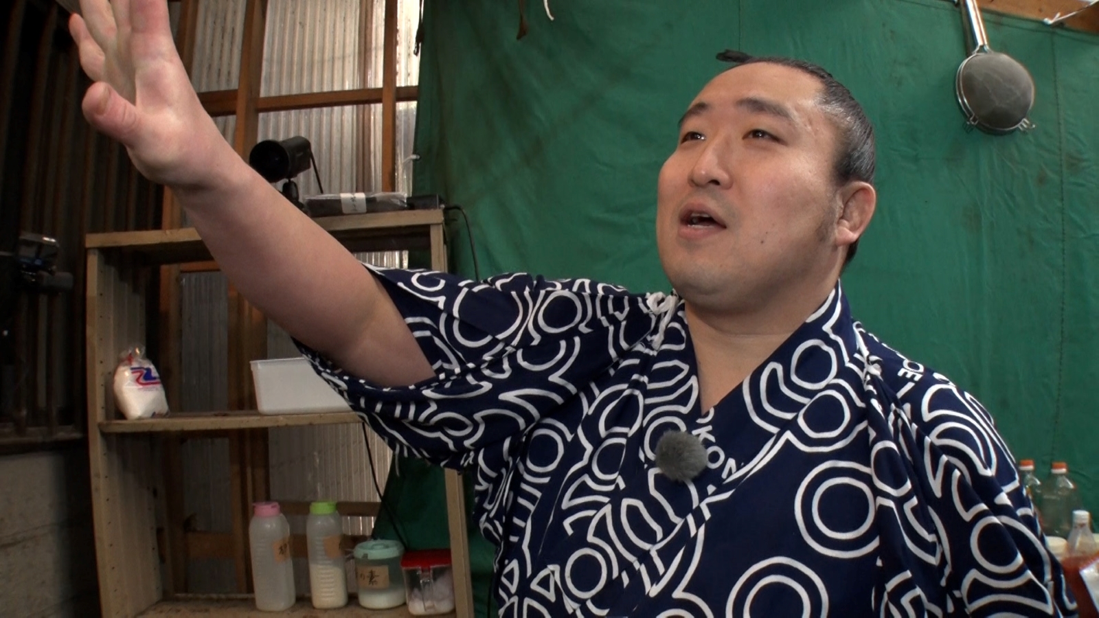 千代青梅の写真