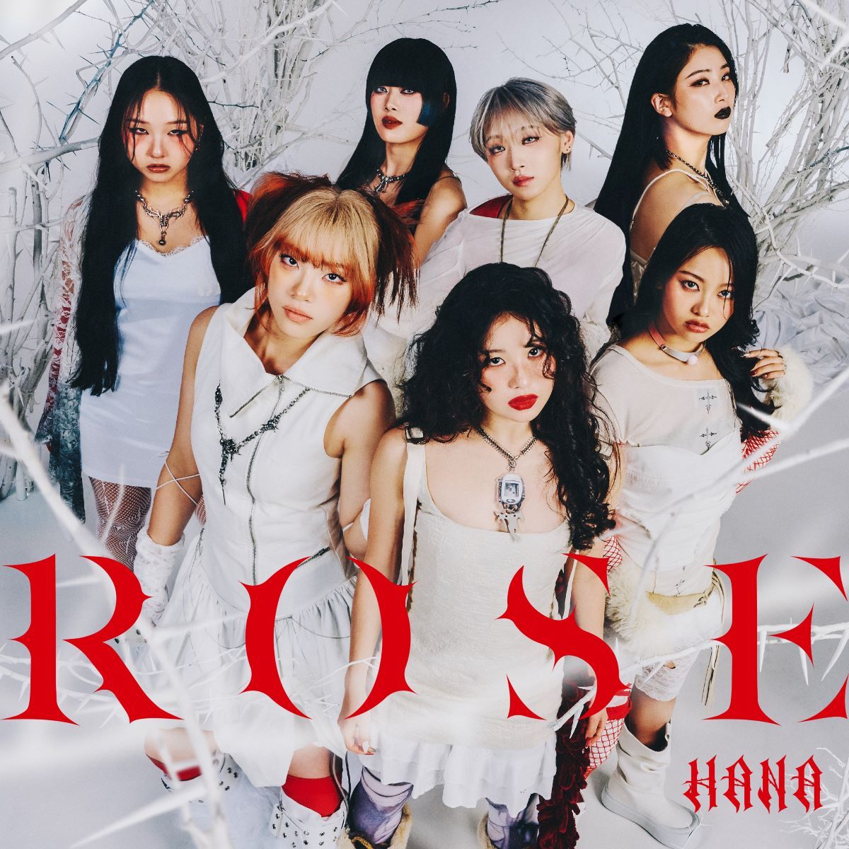 HANAアーティスト写真