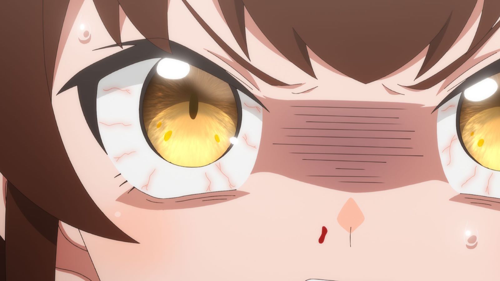アニメ『ある魔女が死ぬまで』の画像