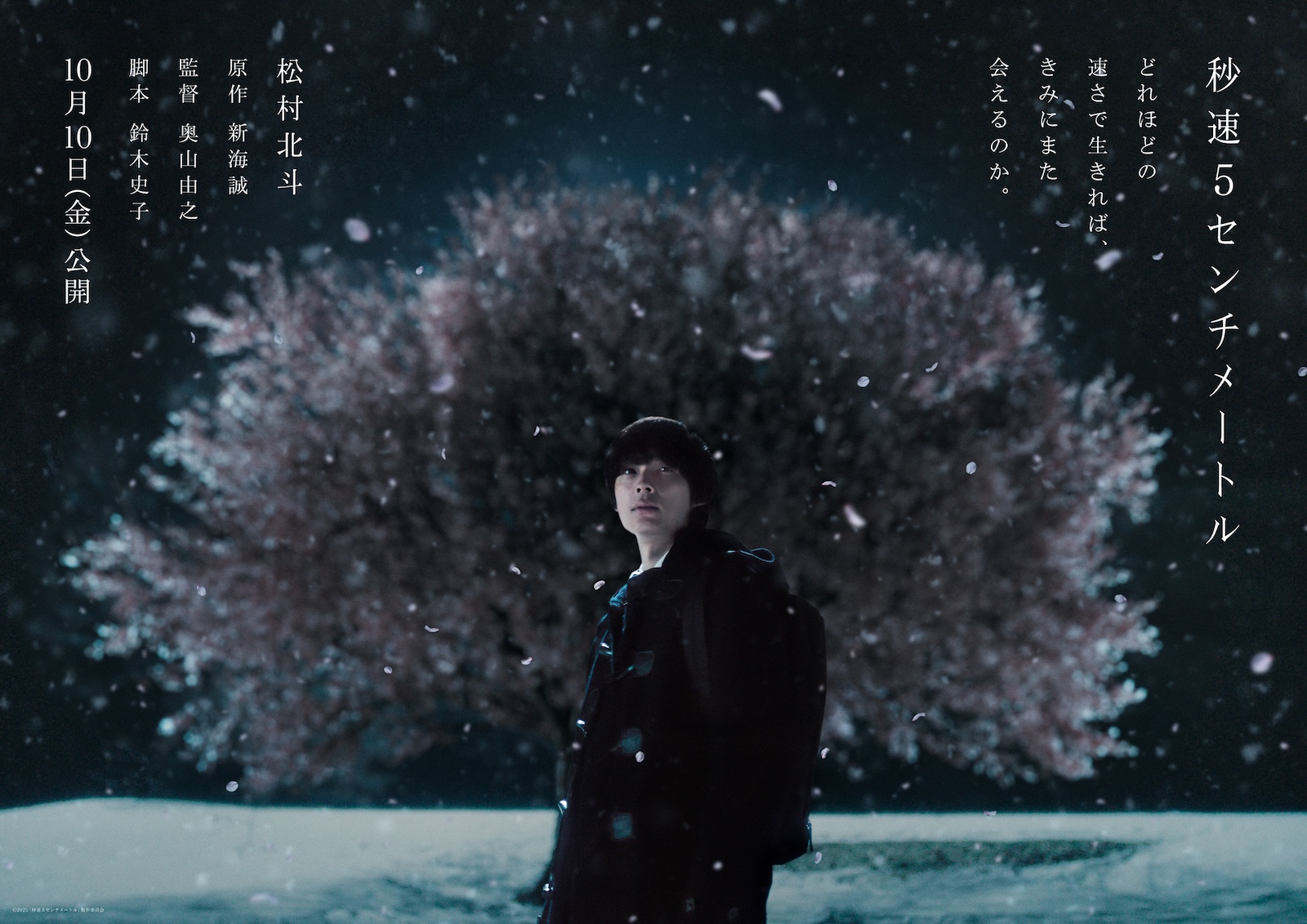 映画『秒速5センチメートル』松村北斗演じる遠野貴樹のティザービジュアル