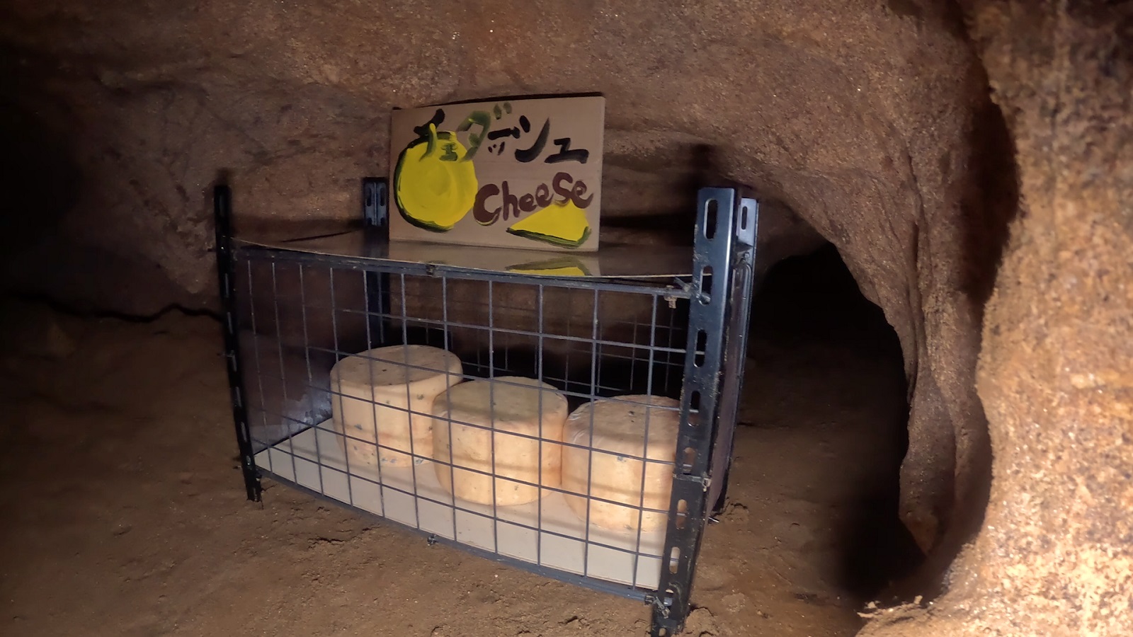 チーズの写真