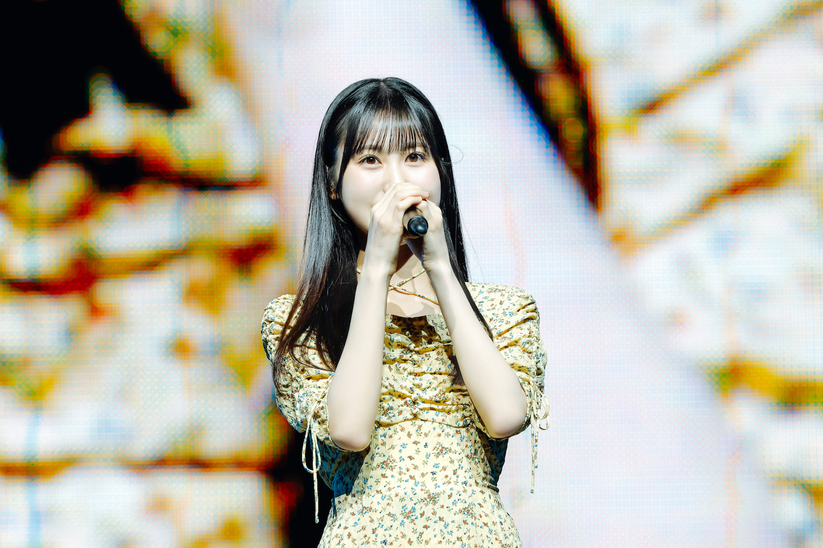 日向坂46の写真