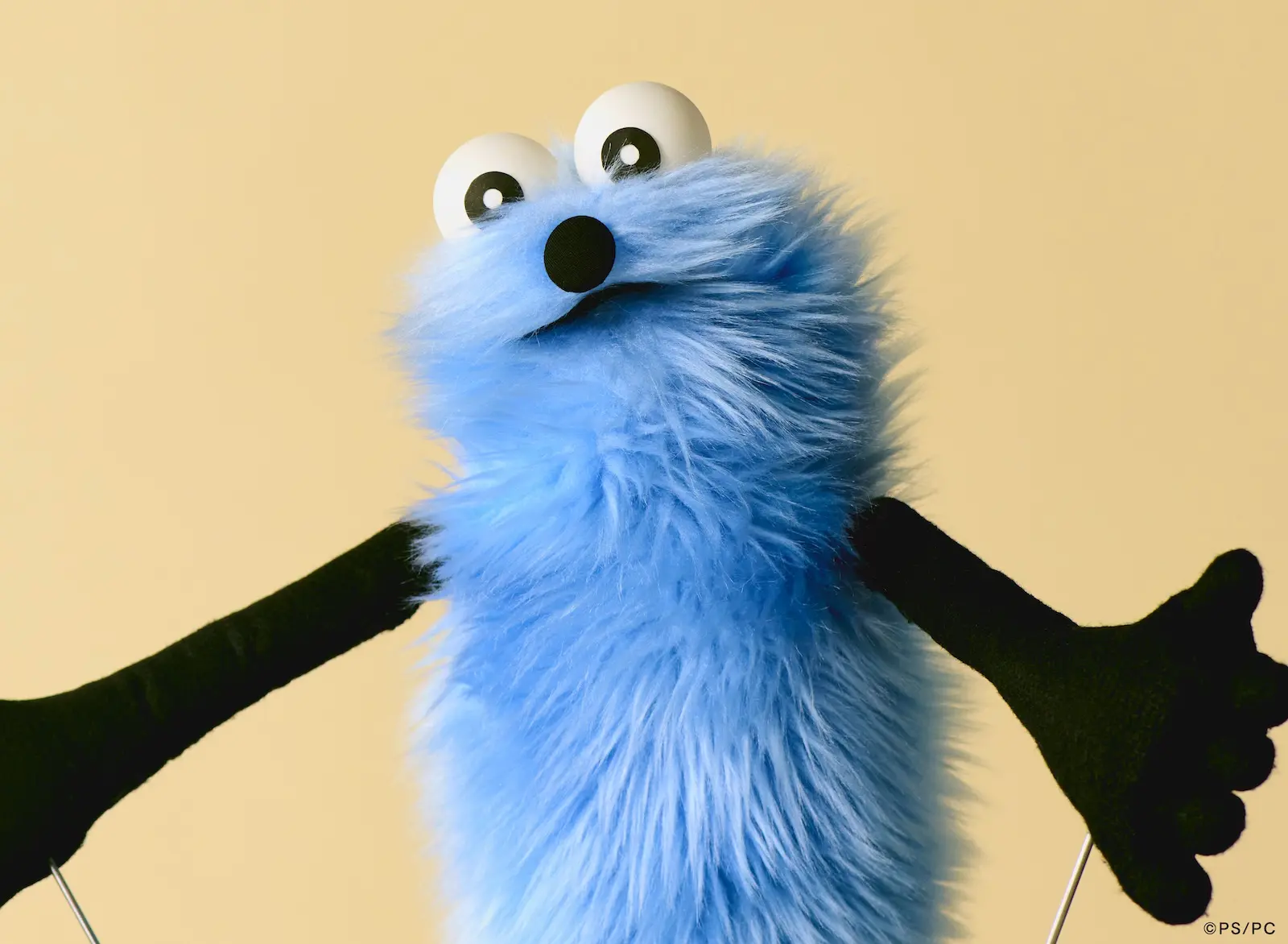 SNS総フォロワー数200万人超え！パペットスンスンがアーティスト