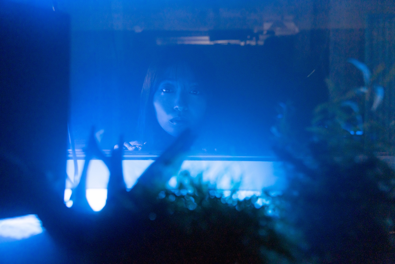 『海老だって鯛を釣りたい』に出演する田辺桃子
