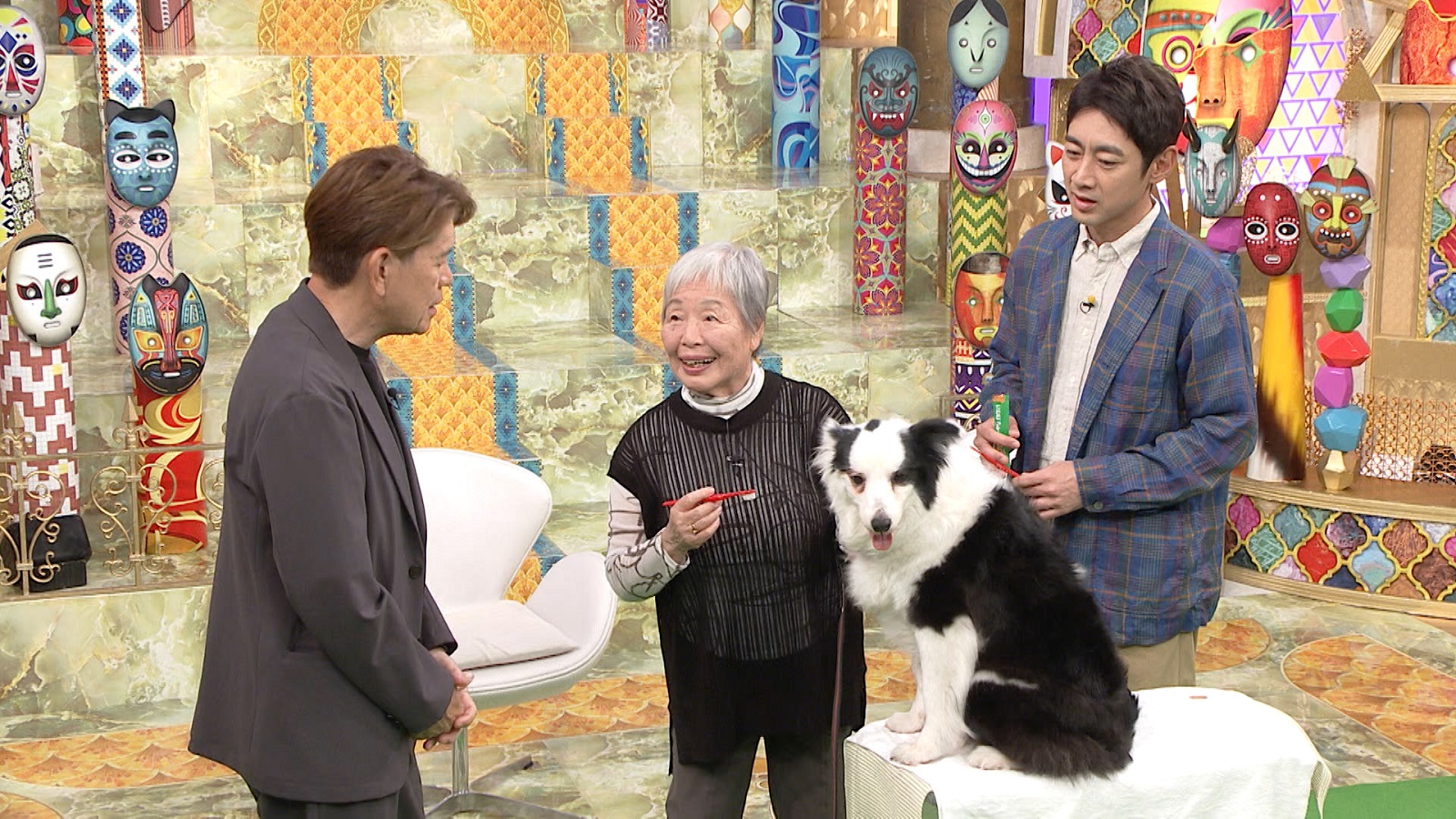 ヒロミと神・訓練士の幸松えみ子さんと小泉孝太郎の写真