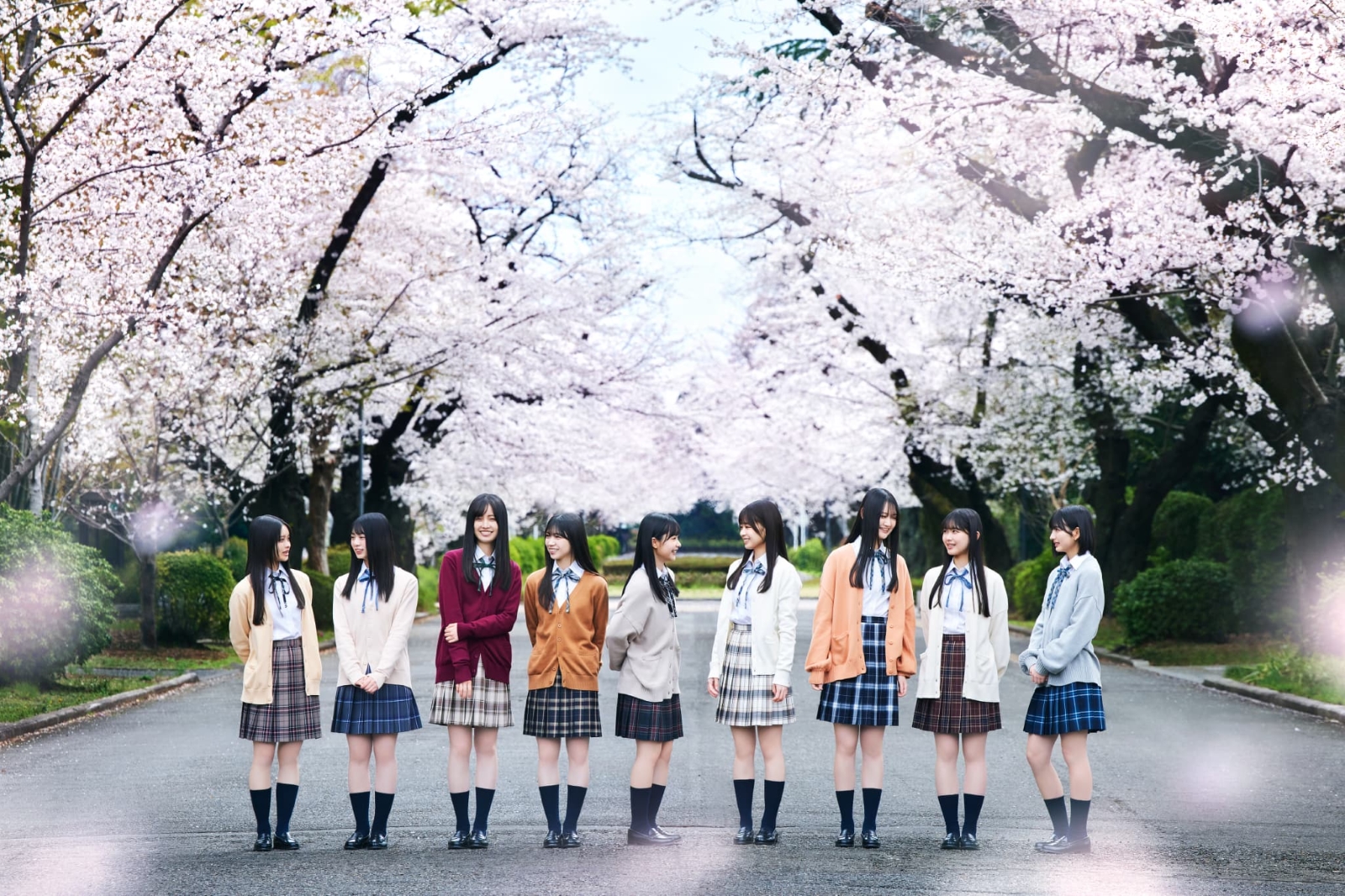 櫻坂46の写真