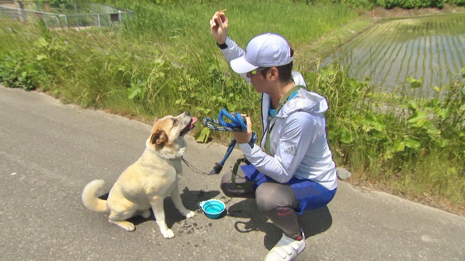 長嶋一茂の写真