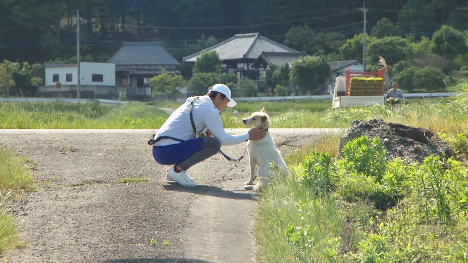 長嶋一茂の写真