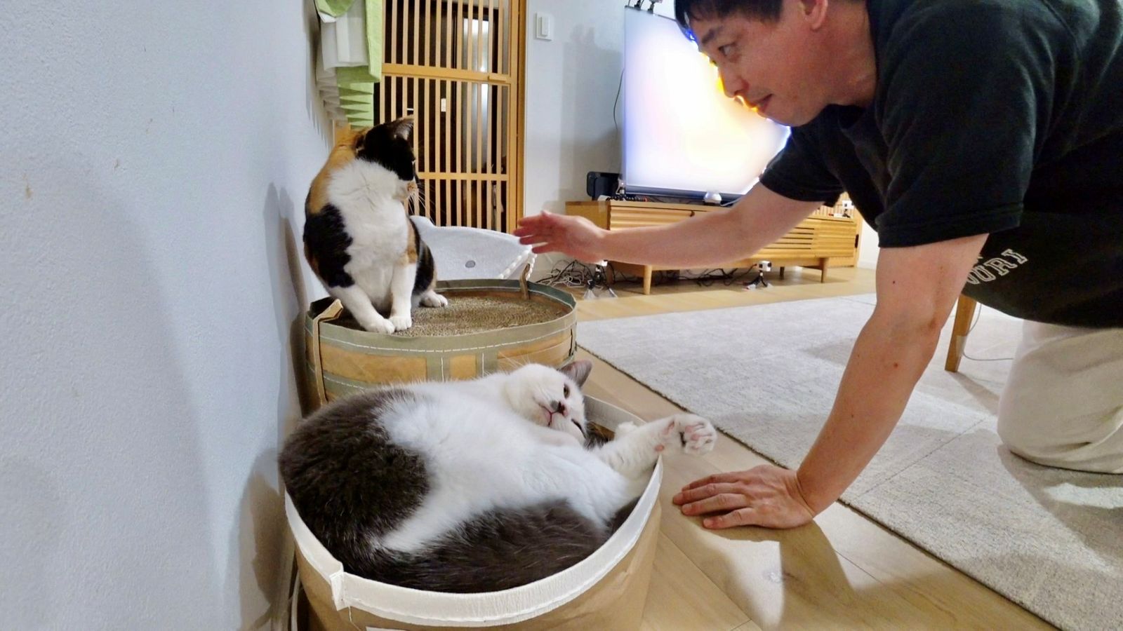 さらば青春の光・森田哲矢の写真