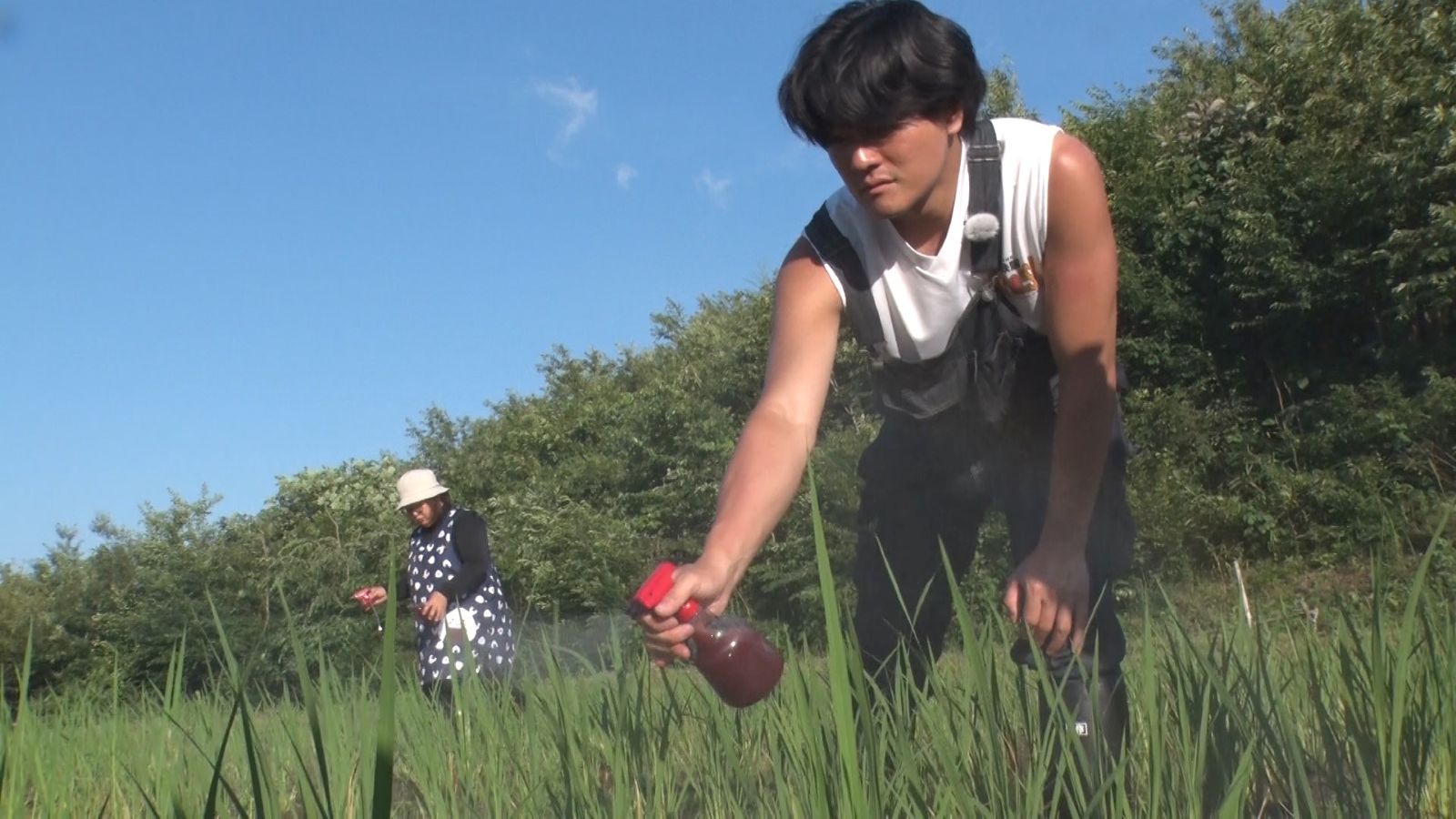 SixTONESの森本慎太郎の写真
