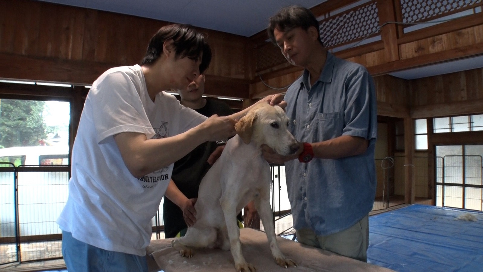 俳優の椎名桔平、相葉雅紀の写真