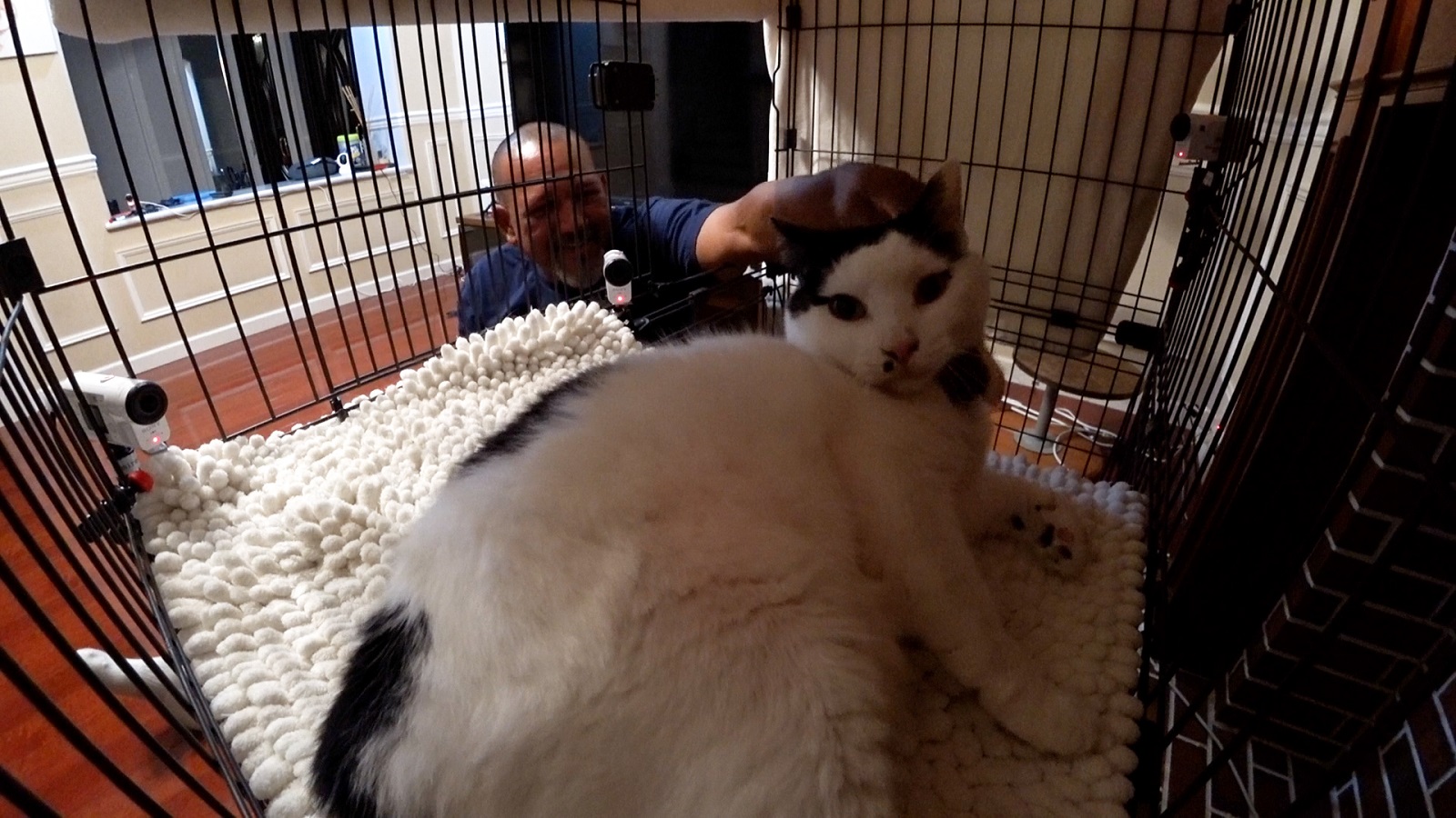 アレックス・ラミレスの写真