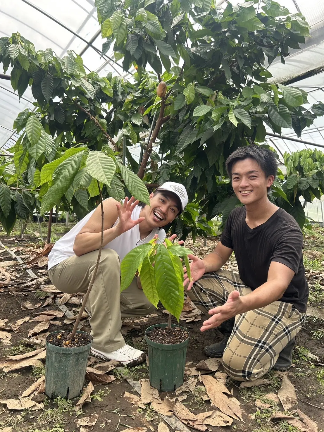 新宿DASH』で新プロジェクト始動！Travis Japan松田元太がカカオを一