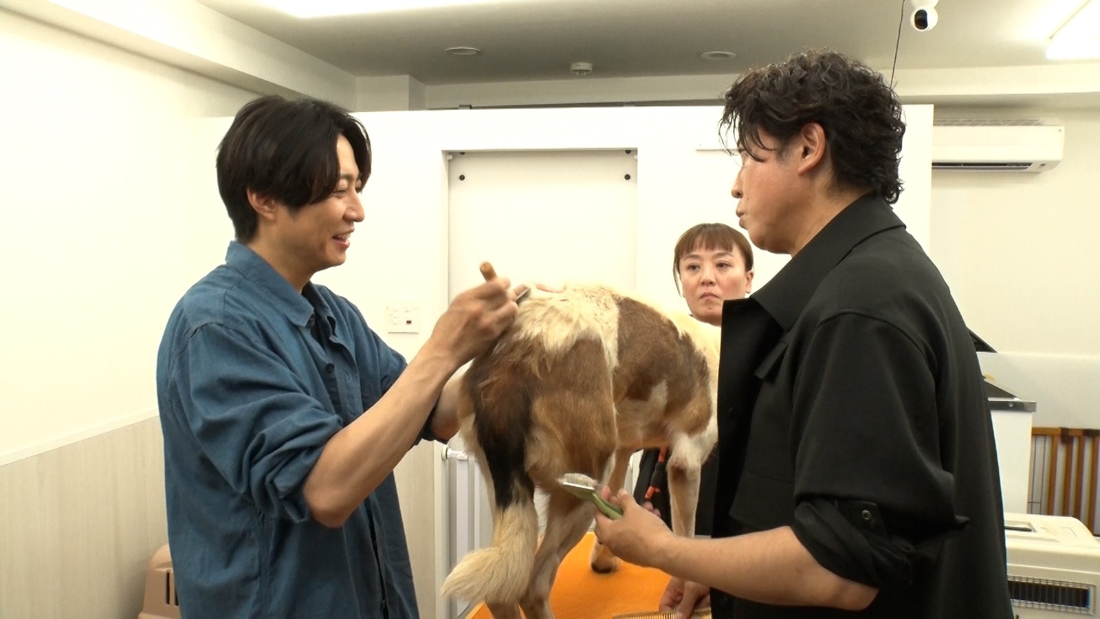 相葉雅紀、上川隆也の写真