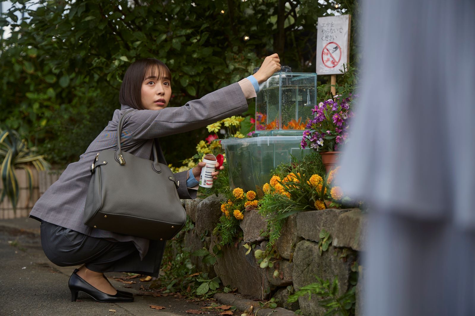 井桁弘恵の写真