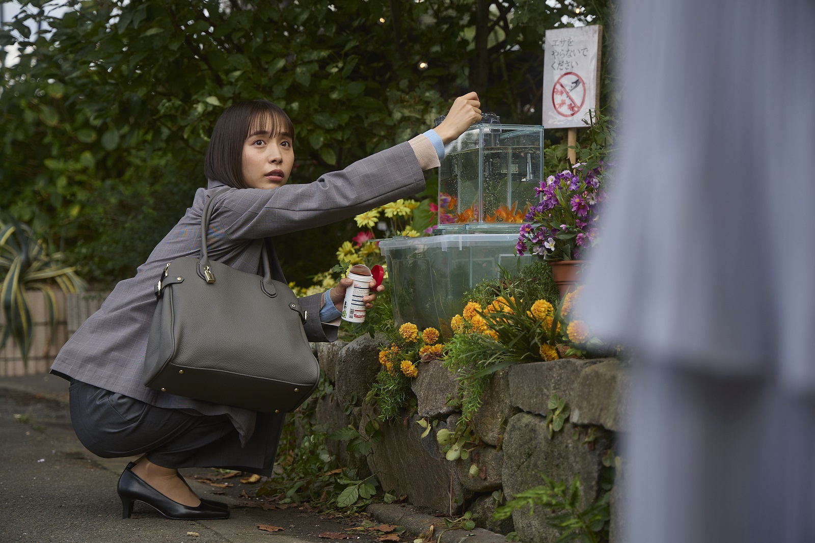 井桁弘恵の写真