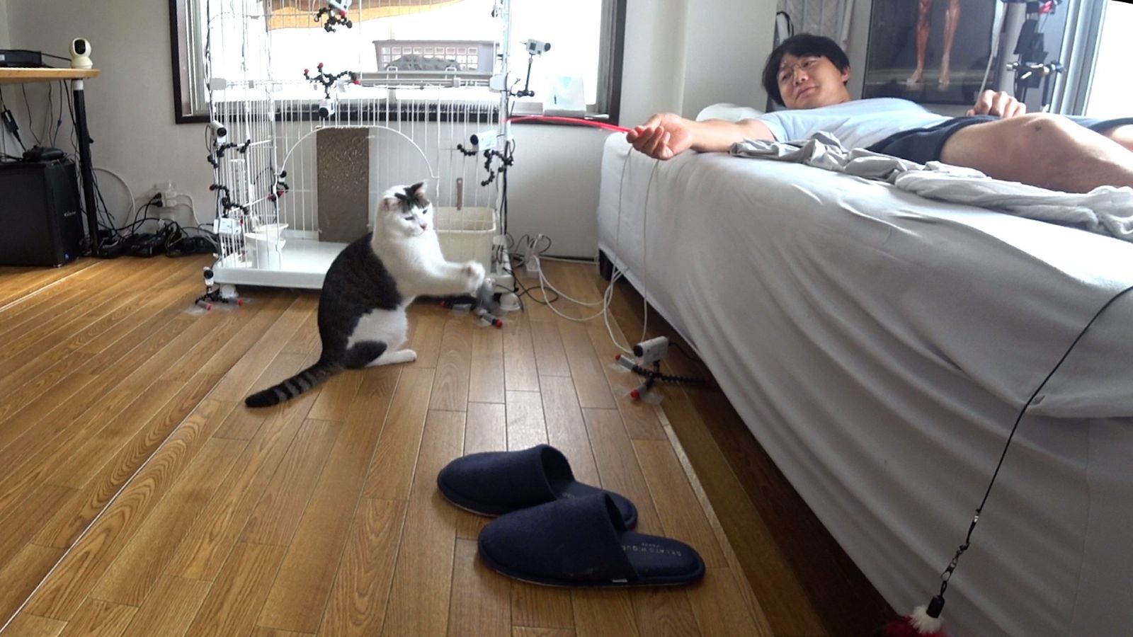 かけおち・青木マッチョの写真