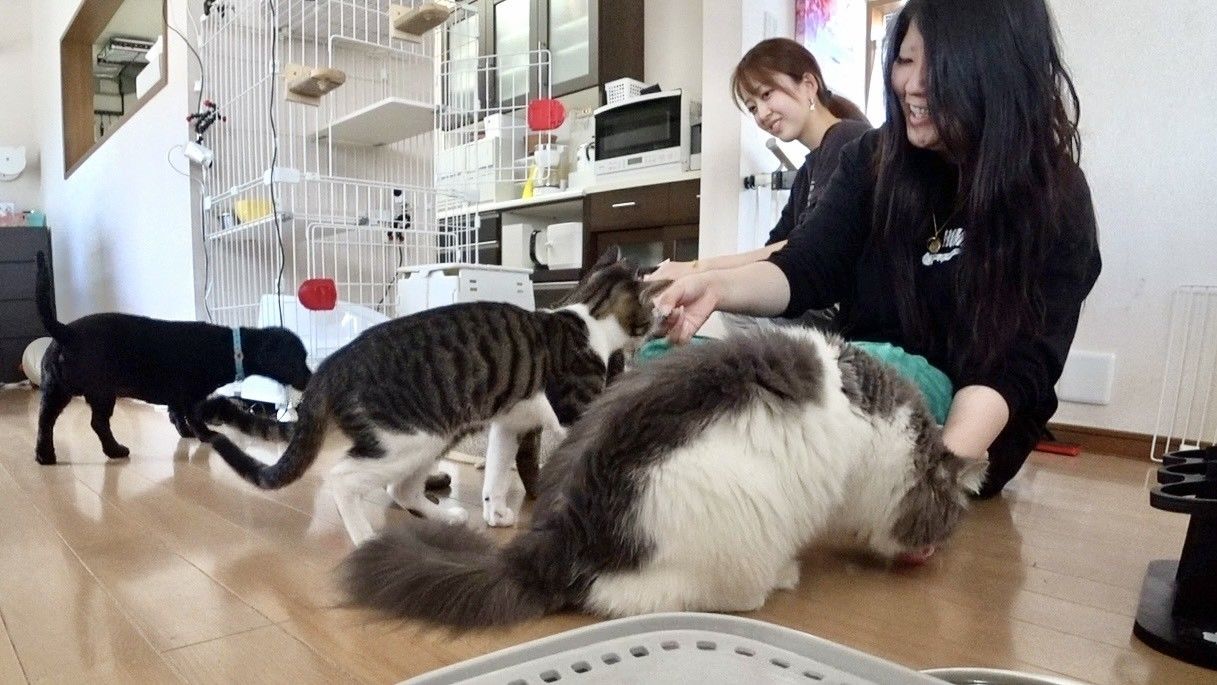 ぱーてぃーちゃん・金子きょんちぃ、みりちゃむの写真