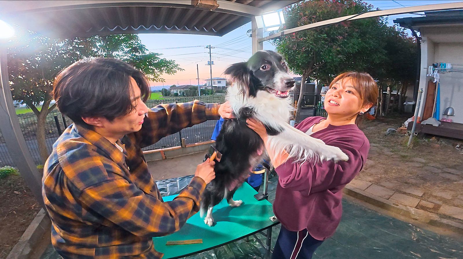 相葉雅紀、野呂佳代の写真